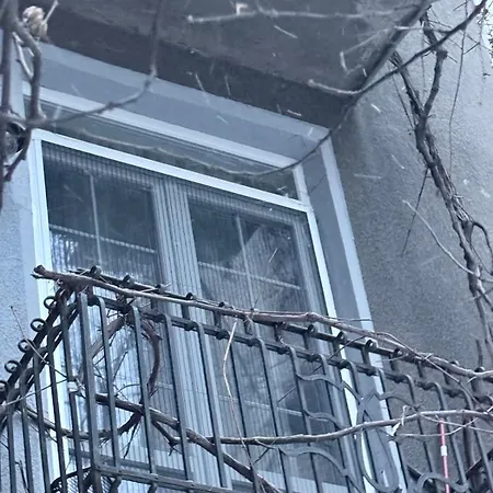 New Center Cozy 3 Bedroom * ソフィア