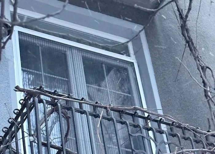 New Center Cozy 3 Bedroom * Sófia