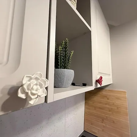 New Center Cozy 3 Bedroom *