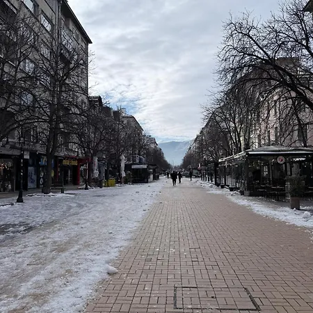 New Center Cozy 3 Bedroom * Sofia